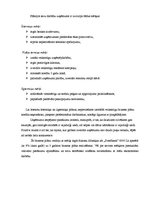 Biznesa plāns 'Biznesa plāns ziedu veikalam', 5.