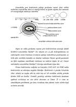 Referāts 'Kodolieroči', 3.