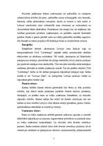 Referāts 'Eiropas Rekonstrukcijas un attīstības banka un Latvija', 7.