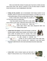 Konspekts 'Dižā Baltijas apceļošana', 11.
