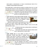 Konspekts 'Dižā Baltijas apceļošana', 12.