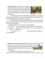 Konspekts 'Dižā Baltijas apceļošana', 13.