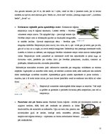 Konspekts 'Dižā Baltijas apceļošana', 21.