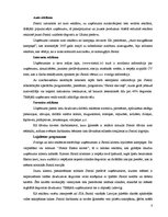 Referāts 'Starptautisko zīmolu reklamēšanas novērtējums Latvijā (Statoil)', 8.
