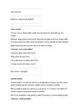 Paraugs 'Ekonomika – nauda, vajadzības un atbildīgi lēmumi', 19.