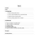 Referāts 'Finanšu analīze', 2.