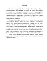 Referāts 'Finanšu analīze', 4.