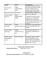 Referāts 'Finanšu analīze', 24.