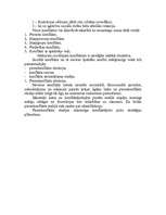 Konspekts 'Sociālo konfliktu raksturojums', 3.