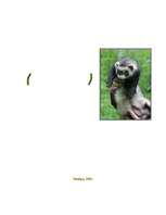 Referāts 'Фретка (домашний хорь)', 1.