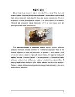 Referāts 'Фретка (домашний хорь)', 7.