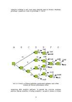 Referāts 'Vadīšanas stili', 26.