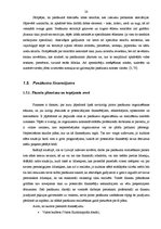 Diplomdarbs '4.maija svētku publiskie pasākumi Rīgas pilsētā: to analīze un pilnveidošanas ie', 20.