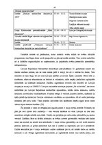 Diplomdarbs '4.maija svētku publiskie pasākumi Rīgas pilsētā: to analīze un pilnveidošanas ie', 40.