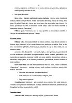 Diplomdarbs '4.maija svētku publiskie pasākumi Rīgas pilsētā: to analīze un pilnveidošanas ie', 45.