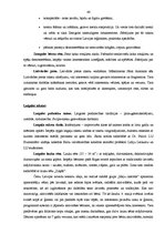 Diplomdarbs '4.maija svētku publiskie pasākumi Rīgas pilsētā: to analīze un pilnveidošanas ie', 46.