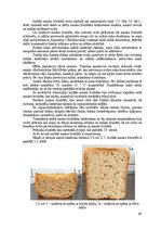 Diplomdarbs 'Bezglutēna maizes ceptuves "Latgolys maiznīks" projekts', 66.