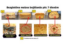 Diplomdarbs 'Bezglutēna maizes ceptuves "Latgolys maiznīks" projekts', 91.