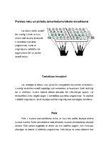 Referāts 'Ievadierīces: peles un tastatūras', 13.
