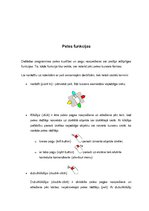 Referāts 'Ievadierīces: peles un tastatūras', 15.