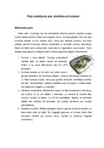 Referāts 'Ievadierīces: peles un tastatūras', 17.