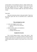 Referāts 'Ievadierīces: peles un tastatūras', 20.