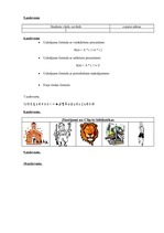 Konspekts 'Laboratorijas darbs datormācībā', 15.