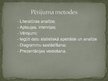 Prezentācija 'Mednieku stāsti un noslēpumi', 6.