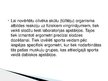 Prezentācija 'Sporta medicīna', 12.