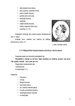 Referāts 'Temperamenta nozīme komunikācijā starp skolēniem', 11.