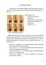 Referāts 'Temperamenta nozīme komunikācijā starp skolēniem', 18.