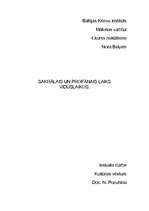 Referāts 'Sakrālais un profānais laiks viduslaikos', 1.