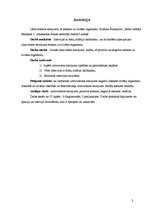 Referāts 'Ultravioletais starojums ,tā ietekme uz cilvēka organismu', 2.