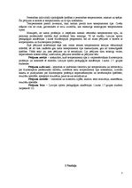 Referāts 'Fizioterapeita profesijai piemērotākā temperamenta tipa noteikšana', 3.