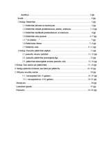 Referāts 'Pašnāvības', 17.