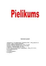 Referāts 'Pašnāvības', 43.