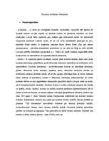 Referāts 'Tūrisma sistēmas galvenie elementi', 2.