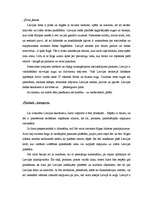 Referāts 'Tūrisma sistēmas galvenie elementi', 7.