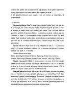 Referāts 'Tūrisma sistēmas galvenie elementi', 8.