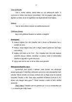 Referāts 'Pārgājiena maršruts. Rīga - Gdaņska', 17.