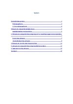 Paraugs 'Segas konstrukcijas aplēse', 1.