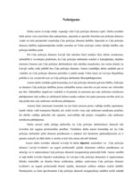 Referāts 'Ceļu policijas darbība', 28.