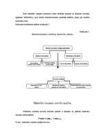 Konspekts 'Izmaksu kontroles un regulēšanas process', 3.