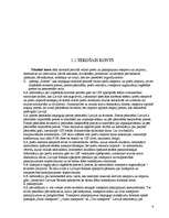 Referāts 'Maksājumu bilance', 6.