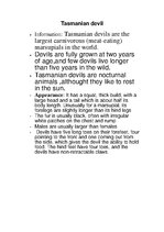 Prezentācija 'Endangered Species. Tasmanian Devil', 8.