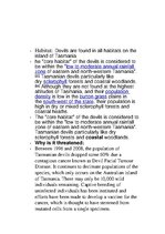 Prezentācija 'Endangered Species. Tasmanian Devil', 9.