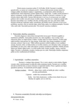 Referāts 'Pacienta aprūpes plāns', 3.