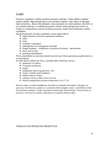 Referāts 'Pacienta aprūpes plāns', 10.