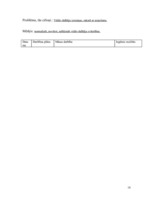 Referāts 'Pacienta aprūpes plāns', 18.