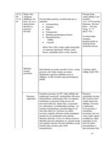 Referāts 'Pacienta aprūpes plāns', 19.